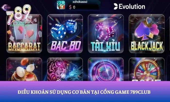 điều khoản sử dụng